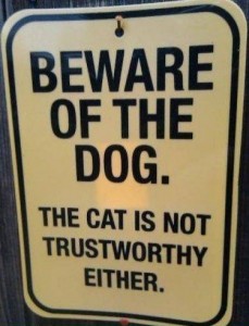 Funny signboards in English Beware of the Dog. The cat is not trustworthy either - Very Funny signboards in English