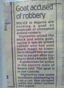 Funny Newspaper Headlines: Goat Accused of Robbery in Nigeria. Real funny newspaper headlines.