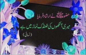 Hadees about Namaz - Best sayings about Salah (Namaz) - Namaz is coolness of Prophet's (s.a.w.) eyes - Best Quotes about Namaz (Salah)