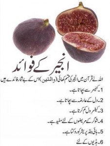 Health Benefits of Fig (Anjeer)-Allah has sworn about Anjeer (fig) in the Quran. Anjeer protects from cancer, heart ailment and diabetes; Health benefits of fig.