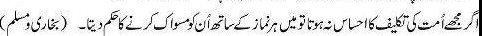 Namaz Hadees; Had I not cared for the difficulty of my Ummah, I would have made the use of miswaak compulsory with every Namaz - Best Namaz Sayings 