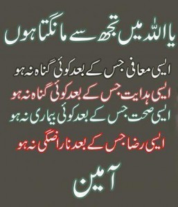 Islamic Dua’s (Supplications) for All Occasions - Aye Allah! I ask from you, such... - Importance of Supplication (Dua) in Islam