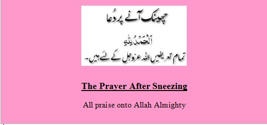 Islamic Dua’s (Supplications) for All Occasions - Dua to recite after Sneezing - Importance of Supplication (Dua) in Islam Importance of Supplication (Dua) in Islam - Dua to recite after Sneezing - Islamic Dua’s (Supplications) for All Occasions - Best Islamic Duas