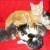 Protected: Test 8