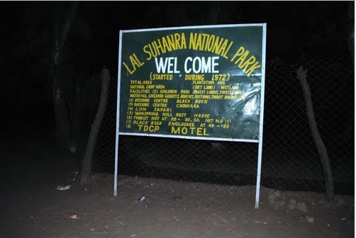 Lal Suhanra National Park, Bahawalpur - Photos of Bahawalpur Photos of Bahawalpur: Lal Suhanra National Park, Bahawalpur - Pictures of Bahawalpur