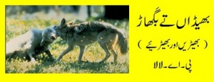 Logo for Poem, Bhedaan Tay Baghaar (Sheep and Wolves) 'Bhedaan Tay Baghaar' (Sheep and Wolves) by Maj Gen Parvez Akmal 42nd PMA - Pakistan Army Poets Punjabi Poetry - Punjabi Poems by Army Officers