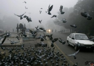 Mall Road, Lahore
