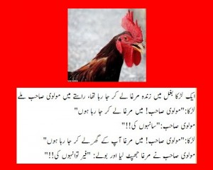 Maulvi Jokes - A boy holding a live Murgha met a Maulvi Sahib in the street - Molvi Jokes and Humour
