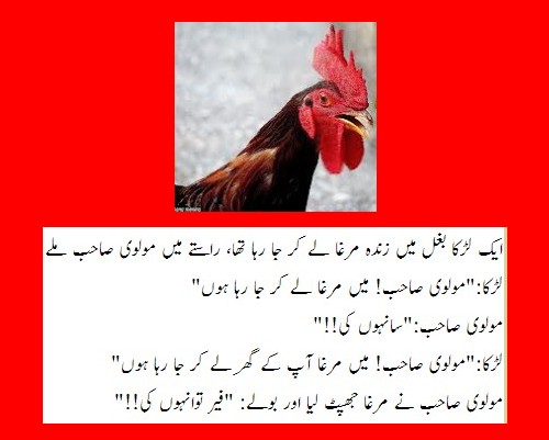 Maulvi Jokes - A boy holding a live Murgha met a Maulvi Sahib in the street - Molvi Jokes and Humour Urdu Jokes about Molvi - Boy with a Murgha met a Molvi - Funny Molvi Jokes - Maulvi Jokes