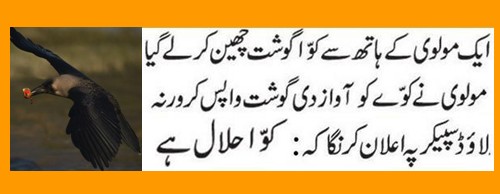 Maulvi Jokes - A crow snatched meat from a Maulvi Sahib's hand - Molvi Jokes and Humour Urdu Jokes about Molvi - Crow snatches meat from Molvi - Funny Molvi Jokes - Maulvi Jokes