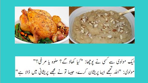 Maulvi Jokes - Some one asked a Maulvi Sahib, Will you eat Halwa or Murghi - Molvi Jokes and Humour Urdu Jokes about Molvi - 'Molvi Sahib, Halwa ya Murghi?' - Funny Molvi Jokes - Maulvi Jokes