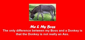 Boss Jokes - Me and My Boss, Difference between my Boss and a Donkey - Best boss Jokes