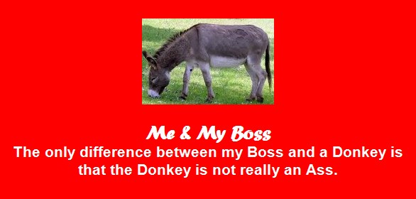 Boss Jokes - Difference between my Boss and a Donkey Funny Boss Jokes: Difference between Boss and a donkey - Office Jokes - Boss Humor