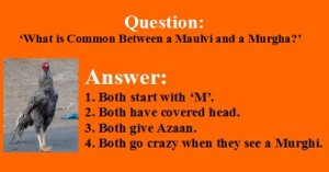 Molvi Jokes - Difference between a Molvi and a Murgha - Maulvi Jokes