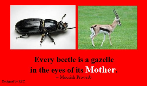  Mother Quotes & Sayings: Moorish Proverb; "Every beetle is a Gazelle in the eyes of its mother" - Famous Quotes about Mother