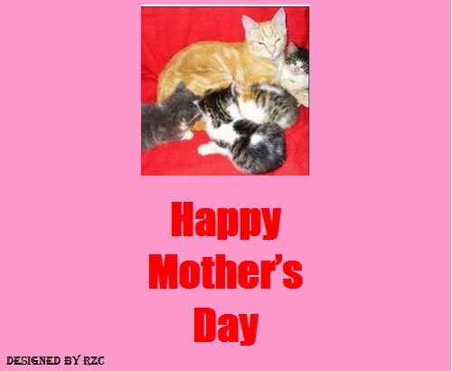 Mother's Day Quotes - Photo of a Cat with her Beautiful kittens - Best sayings, quotes about Mother's Day Best Mother's Day Quotes - Photo of a Cat with her Beautiful kittens - Best sayings, quotes about Mother's Day