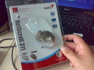 Mouse