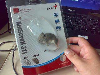 Mouse
