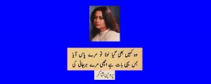 Poetry of Perveen Shakir: Couplet of Perveen Shakir; "Woh kaheen bhi gaya, lota tou merray pass aya. Buss yehi baat hai achi meray harjai ki" - Best Perveen Shakir Poetry