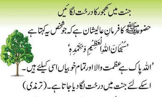 Plant a Tree In Jannah (Paradise) Hadith (Hadees): Plant a tree in Jannah (Janat)
