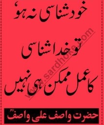 Sayings of Wasif Ali Wasif - Quotes of Wasif Ali Wasif (12) 