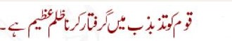 Sayings of Wasif Ali Wasif - Quotes of Wasif Ali Wasif (153)