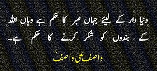 Sayings of Wasif Ali Wasif - Quotes of Wasif Ali Wasif (65)