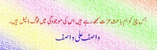 Sayings of Wasif Ali Wasif - Quotes of Wasif Ali Wasif (79)