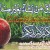 Rizq in Islam