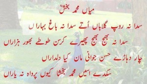 Sufi Kalam of Mian Muhammad Bakhsh in 'Saif-ul-Maluk': Sadda na roop gulaaban uttay, Sadda na bagh bahaaran, Sadda na bajh bajh phairey karsan toutay bhoor hazaaran - Mian Muhammad Bakhsh Punjabi Poetry