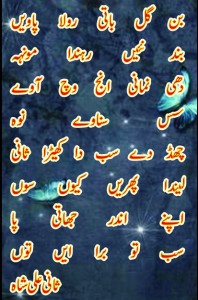 Punjabi inspirational Kalam of Sani Ali Shah: Apnay ander jhaati paa, sub tu bura aen tou - Poetry of Sani Ali Shah