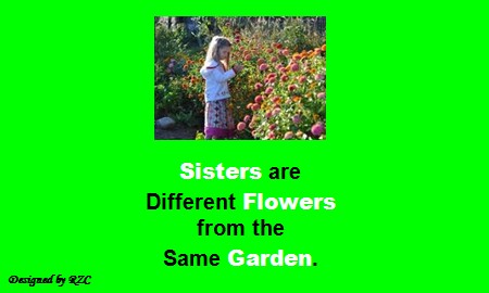 Quotes about sisters : Sisters are different flowers from the same Garden - Sister Quotes - Quotes for Sisters