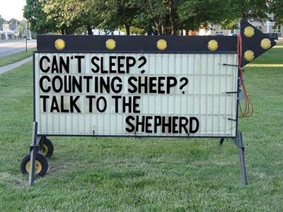 Talk to the Shepherd