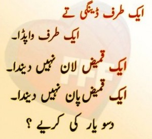 WAPDA & Dengue Mosquito