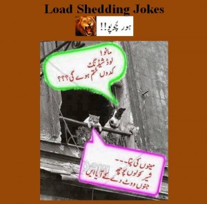 Load shedding and Bijli Jokes - The cat asks the dog, "When will the load shedding end?" - Funny WAPDA jokes