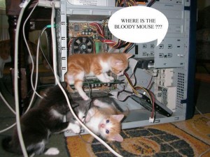 Where is the Bloody Mouse